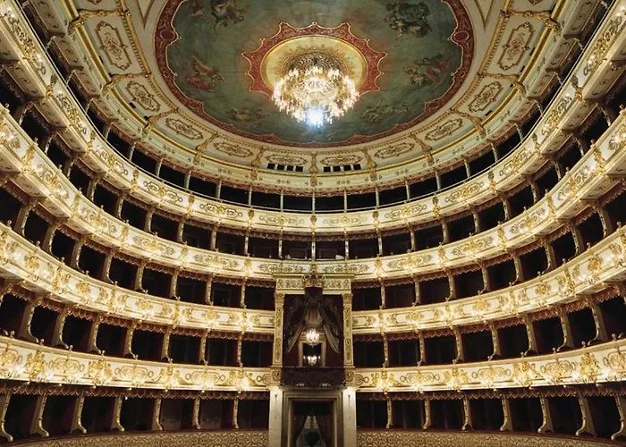 Daisy - * بارما